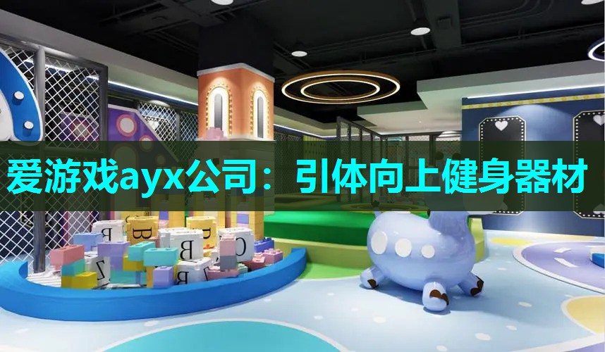 爱游戏ayx公司：引体向上健身器材