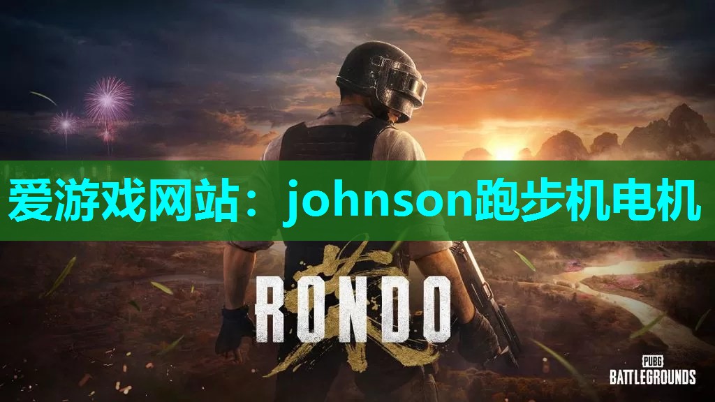 johnson跑步机电机