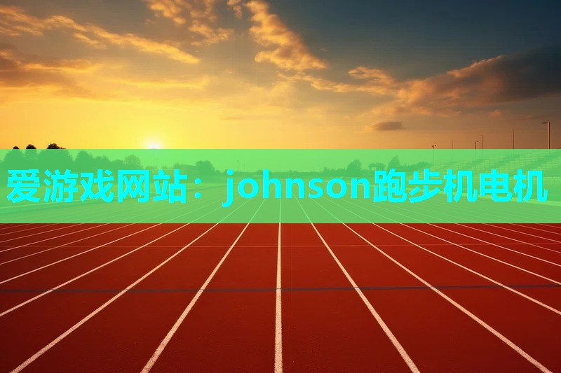 johnson跑步机电机